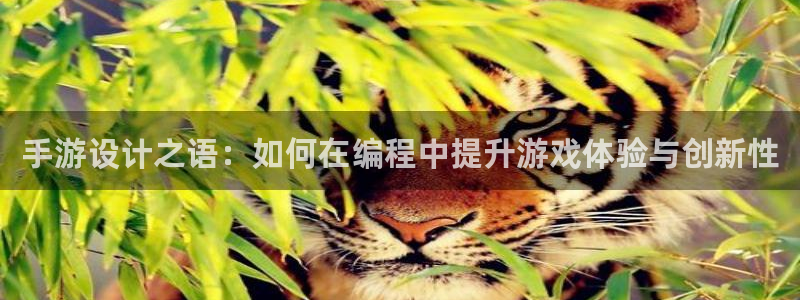 V8娱乐：手游设计之语：如何在编程中提升游戏体验与创新性