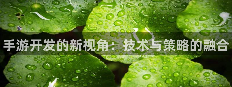 V8娱乐网
