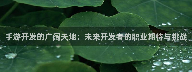 V8娱乐登录：手游开发的广阔天地：未来开发者的职业期待与挑战