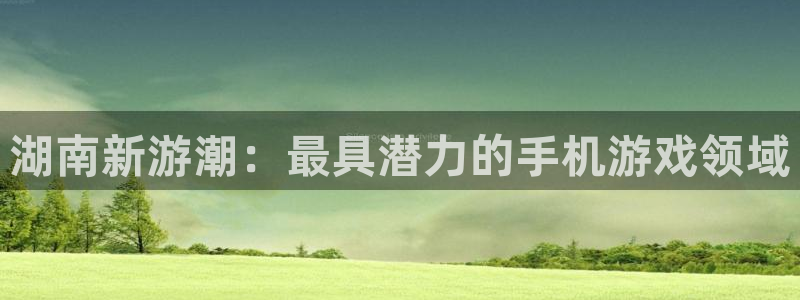 V8娱乐平台：湖南新游潮：最具潜力的手机游戏领域