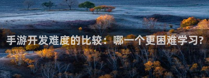 V8娱乐注册：手游开发难度的比较：哪一个更困难学习?