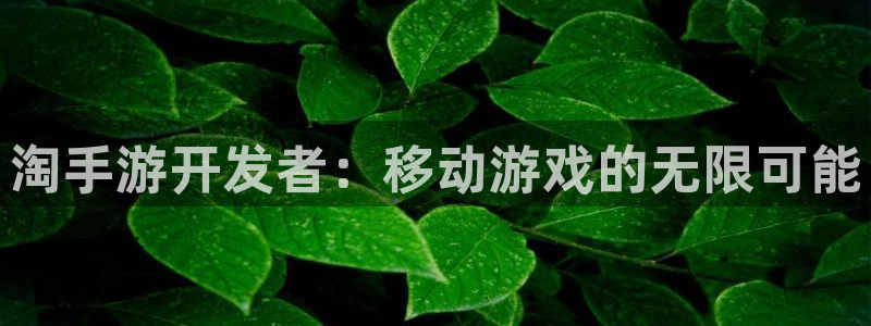 V8娱乐平台：淘手游开发者：移动游戏的无限可能