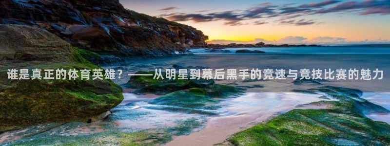 三亿体育网页版：谁是真正的体育英雄？——从明星到幕后黑手的竞速与竞技比赛的魅力