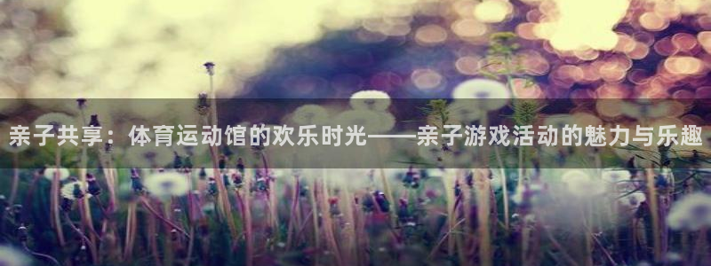三亿体育：亲子共享：体育运动馆的欢乐时光——亲子游戏活动的魅力与乐趣