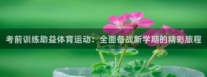 三亿体育：考前训练助益体育运动：全面备战新学期的精彩旅程