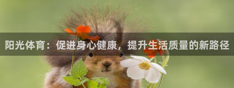 三亿体育网：阳光体育：促进身心健康，提升生活质量的新路径